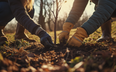 Semaine de l&rsquo;arbre – 7 raisons de planter des arbres indigènes
