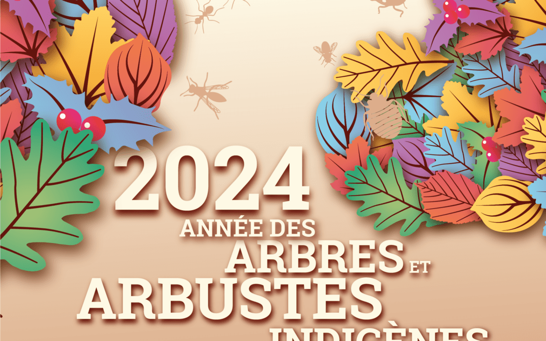 La Semaine de l&rsquo;Arbre au Parc naturel Viroin-Hermeton