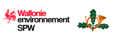 logo-spw-dnf