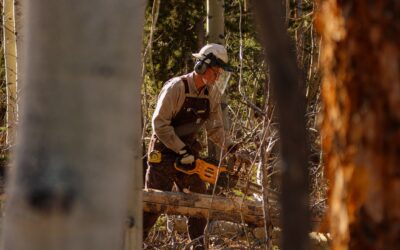 Formation à l&rsquo;Affouage