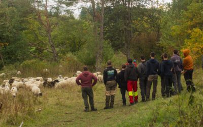 Des chaussettes pour tisser des liens
