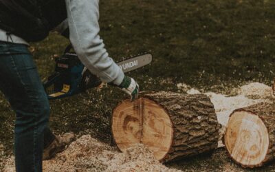 Formation Affouage : Programme & inscription