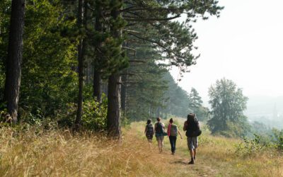 Votre team building avec le Parc naturel