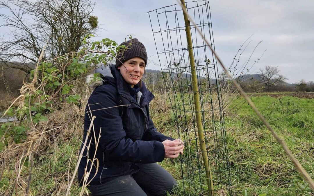 Semaine de l’Arbre 2025 : on fait le bilan !