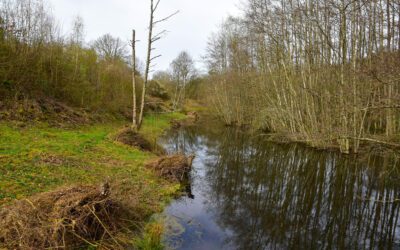 Chantier nature – Entretien aux Argilières de Romedenne