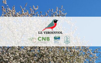 Entretien du verger de la Maison du Bailli (Pesche)