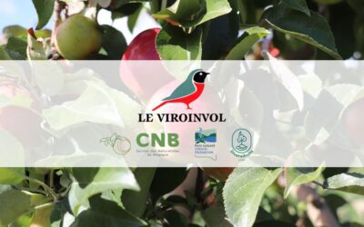 Découverte des fruitiers au verger Notre-Dame à Olloy-sur-Viroin
