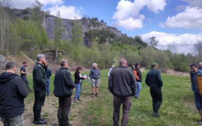 Les carrières abandonnées, hauts lieux de la biodiversité !