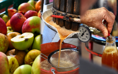 Transformez vos pommes en jus !